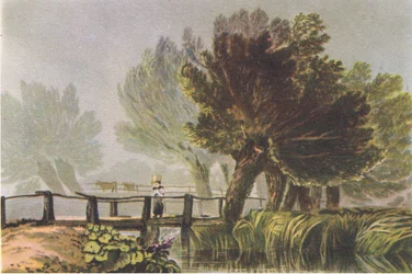 Llandrindod : Frênes au printemps, Nature en Grande-Bretagne publiée par Collins, 1946